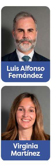 equipo birdbird